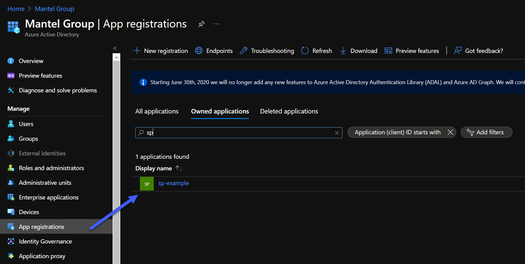 Service principal in the Azure portal